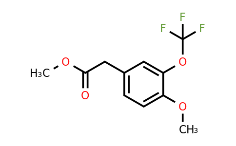 1261572-80-8 | Methyl 4-methoxy-3-(trifluoromethoxy)phenylacetate