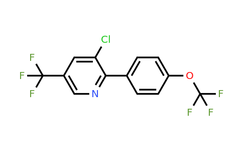 1261573-66-3 | 3-Chloro-2-(4-(trifluoromethoxy)phenyl)-5-(trifluoromethyl)pyridine