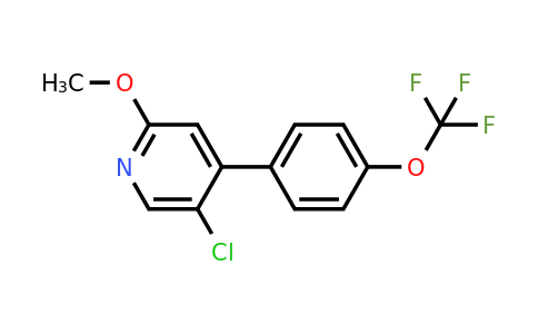 1261574-38-2 | 5-Chloro-2-methoxy-4-(4-(trifluoromethoxy)phenyl)pyridine