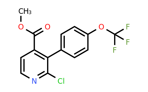 1261577-85-8 | Methyl 2-chloro-3-(4-(trifluoromethoxy)phenyl)isonicotinate