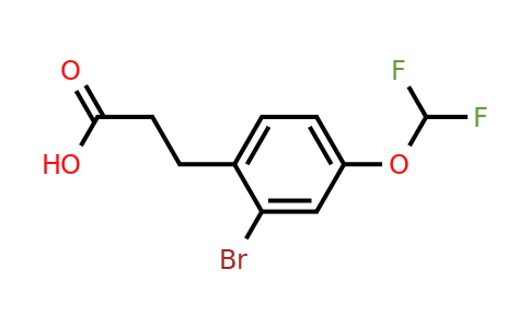 1261580-05-5 | 3-(2'-Bromo-4'-(difluoromethoxy)phenyl)propionic acid
