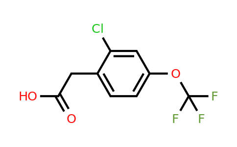 1261581-59-2 | 2-Chloro-4-(trifluoromethoxy)phenylacetic acid