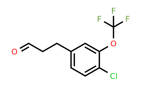 1261581-66-1 | 3-(4'-Chloro-3'-(trifluoromethoxy)phenyl)propionaldehyde
