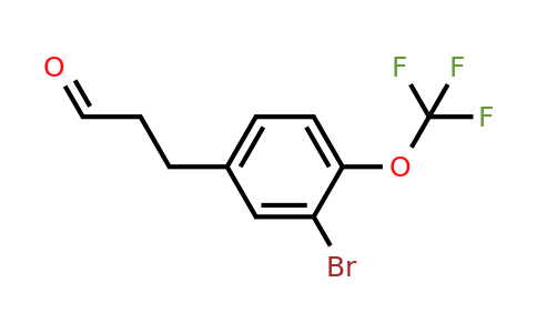 1261583-31-6 | 3-(3'-Bromo-4'-(trifluoromethoxy)phenyl)propionaldehyde