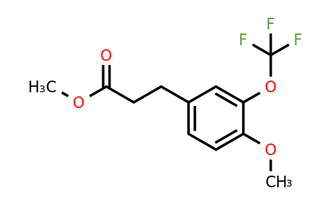 1261583-74-7 | Methyl 3-(4'-methoxy-3'-(trifluoromethoxy)phenyl)propionate