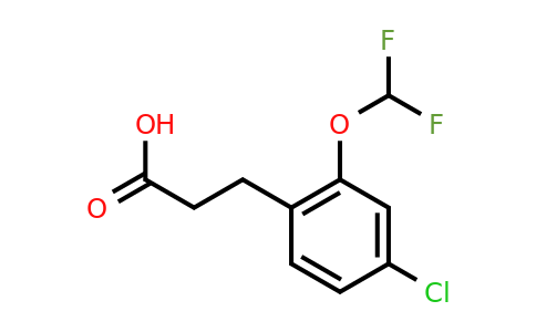 1261584-01-3 | 3-(4'-Chloro-2'-(difluoromethoxy)phenyl)propionic acid