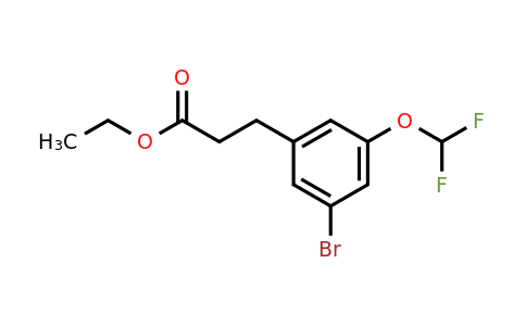 1261585-66-3 | Ethyl 3-(3'-bromo-5'-(difluoromethoxy)phenyl)propionate