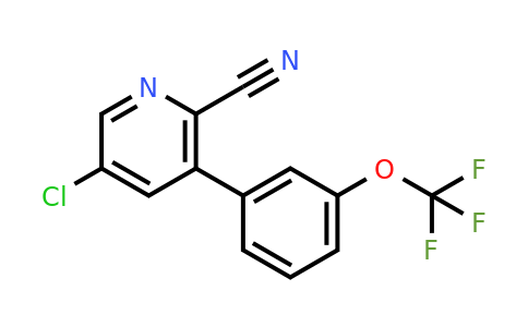 1261587-11-4 | 5-Chloro-3-(3-(trifluoromethoxy)phenyl)picolinonitrile
