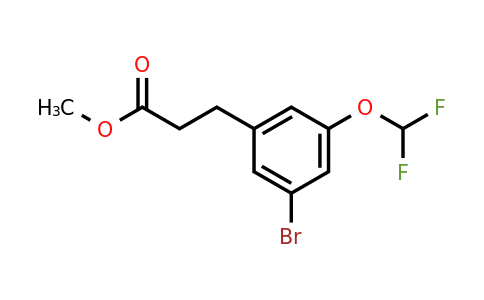 1261588-14-0 | Methyl 3-(3'-bromo-5'-(difluoromethoxy)phenyl)propionate