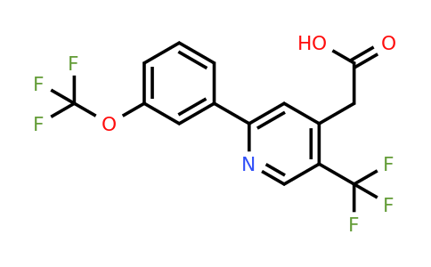 1261588-66-2 | 2-(3-(Trifluoromethoxy)phenyl)-5-(trifluoromethyl)pyridine-4-acetic acid