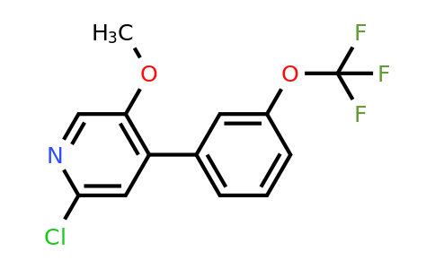 1261591-55-2 | 2-Chloro-5-methoxy-4-(3-(trifluoromethoxy)phenyl)pyridine