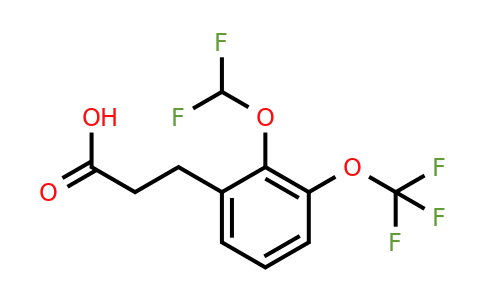 1261605-34-8 | 3-(2'-(Difluoromethoxy)-3'-(trifluoromethoxy)phenyl)propionic acid