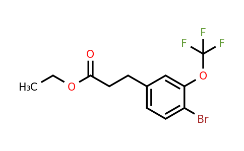 1261606-63-6 | Ethyl 3-(4'-bromo-3'-(trifluoromethoxy)phenyl)propionate