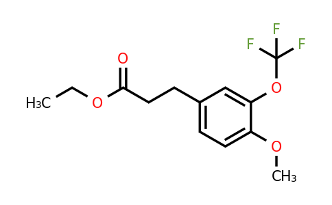 1261606-73-8 | Ethyl 3-(4'-methoxy-3'-(trifluoromethoxy)phenyl)propionate