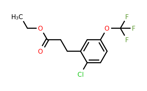 1261606-83-0 | Ethyl 3-(2'-chloro-5'-(trifluoromethoxy)phenyl)propionate