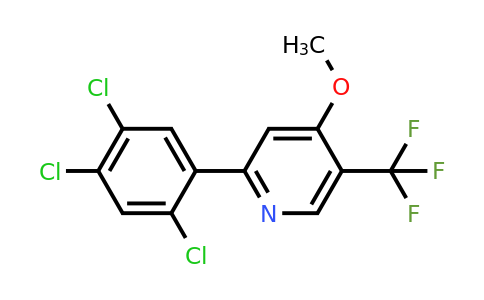 1261607-55-9 | 4-Methoxy-2-(2,4,5-trichlorophenyl)-5-(trifluoromethyl)pyridine
