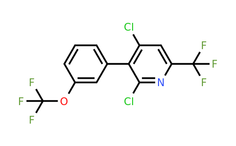 1261611-14-6 | 2,4-Dichloro-3-(3-(trifluoromethoxy)phenyl)-6-(trifluoromethyl)pyridine