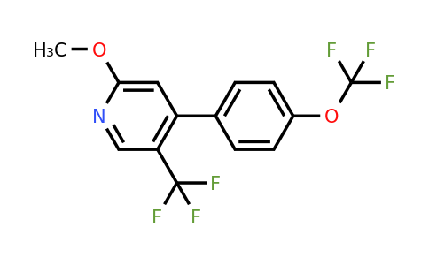 1261615-06-8 | 2-Methoxy-4-(4-(trifluoromethoxy)phenyl)-5-(trifluoromethyl)pyridine