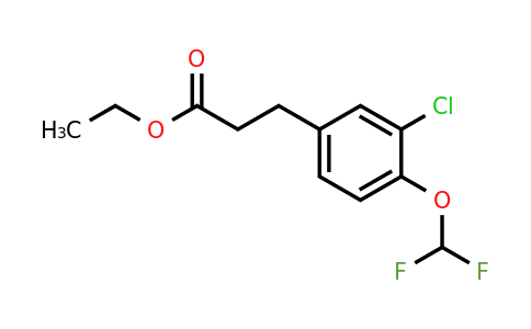 1261618-85-2 | Ethyl 3-(3'-chloro-4'-(difluoromethoxy)phenyl)propionate