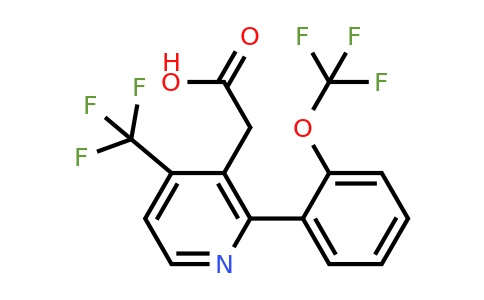 1261619-92-4 | 2-(2-(Trifluoromethoxy)phenyl)-4-(trifluoromethyl)pyridine-3-acetic acid