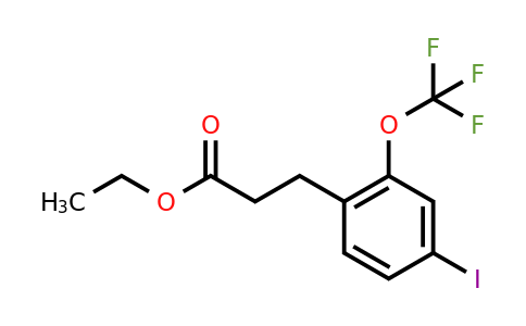 1261620-62-5 | Ethyl 3-(4'-iodo-2'-(trifluoromethoxy)phenyl)propionate