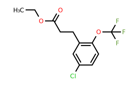 1261646-16-5 | Ethyl 3-(5'-chloro-2'-(trifluoromethoxy)phenyl)propionate