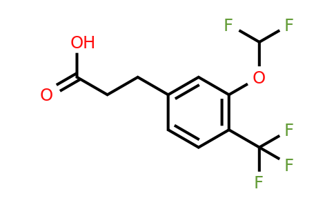 1261646-23-4 | 3-(3'-(Difluoromethoxy)-4'-(trifluoromethyl)phenyl)propionic acid