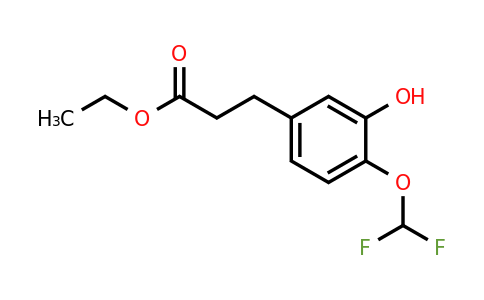 1261646-46-1 | Ethyl 3-(4'-(difluoromethoxy)-3'-hydroxyphenyl)propionate