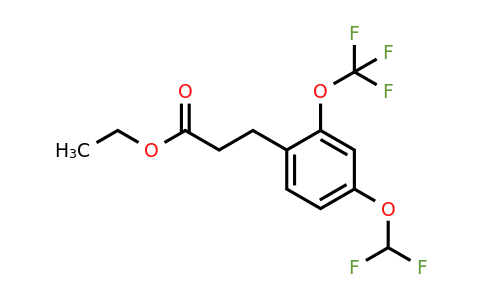 1261646-55-2 | Ethyl 3-(4'-(difluoromethoxy)-2'-(trifluoromethoxy)phenyl)propionate