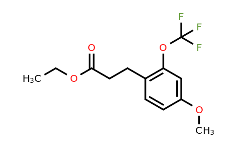 1261647-10-2 | Ethyl 3-(4'-methoxy-2'-(trifluoromethoxy)phenyl)propionate
