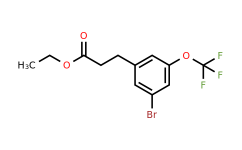 1261647-27-1 | Ethyl 3-(3'-bromo-5'-(trifluoromethoxy)phenyl)propionate