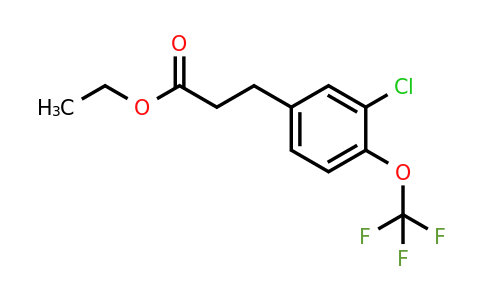 1261647-69-1 | Ethyl 3-(3'-chloro-4'-(trifluoromethoxy)phenyl)propionate