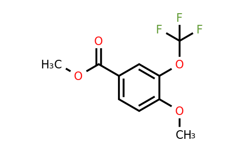 1261650-30-9 | Methyl 4-methoxy-3-(trifluoromethoxy)benzoate