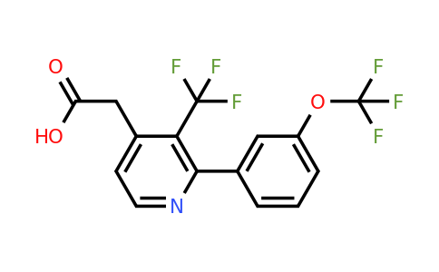 1261653-27-3 | 2-(3-(Trifluoromethoxy)phenyl)-3-(trifluoromethyl)pyridine-4-acetic acid
