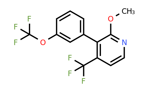 1261655-30-4 | 2-Methoxy-3-(3-(trifluoromethoxy)phenyl)-4-(trifluoromethyl)pyridine