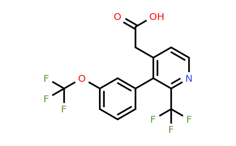 1261660-01-8 | 3-(3-(Trifluoromethoxy)phenyl)-2-(trifluoromethyl)pyridine-4-acetic acid