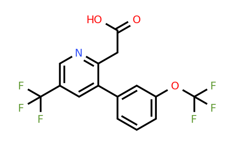 1261664-16-7 | 3-(3-(Trifluoromethoxy)phenyl)-5-(trifluoromethyl)pyridine-2-acetic acid