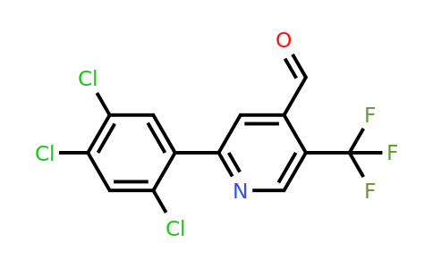 1261671-14-0 | 2-(2,4,5-Trichlorophenyl)-5-(trifluoromethyl)isonicotinaldehyde