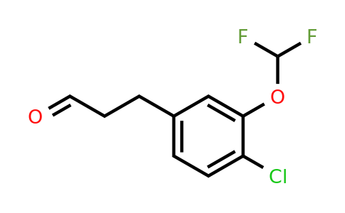 1261672-78-9 | 3-(4'-Chloro-3'-(difluoromethoxy)phenyl)propionaldehyde