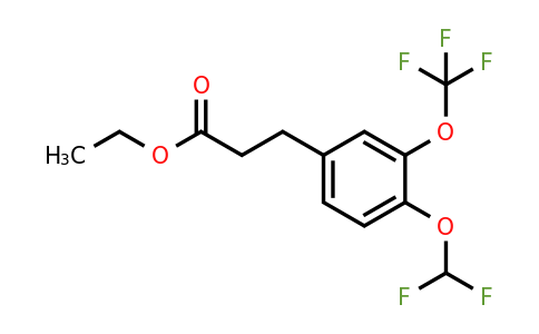 1261675-00-6 | Ethyl 3-(4'-(difluoromethoxy)-3'-(trifluoromethoxy)phenyl)propionate