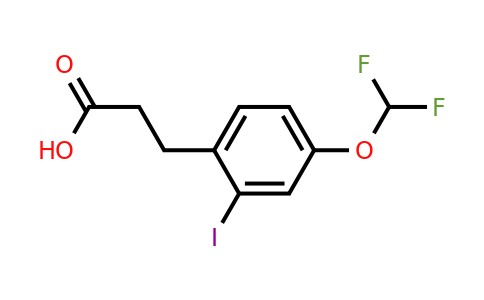 1261675-01-7 | 3-(4'-(Difluoromethoxy)-2'-iodophenyl)propionic acid