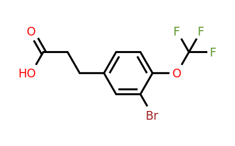 1261675-67-5 | 3-(3'-Bromo-4'-(trifluoromethoxy)phenyl)propionic acid