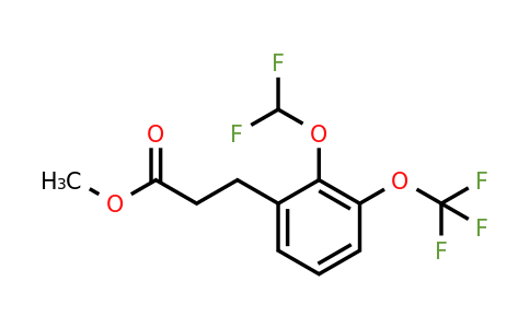 1261677-88-6 | Methyl 3-(2'-(difluoromethoxy)-3'-(trifluoromethoxy)phenyl)propionate