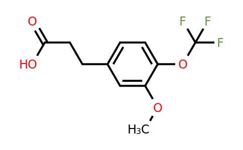 1261683-05-9 | 3-(3'-Methoxy-4'-(trifluoromethoxy)phenyl)propionic acid