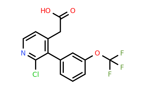 1261687-97-1 | 2-Chloro-3-(3-(trifluoromethoxy)phenyl)pyridine-4-acetic acid