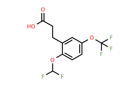 1261739-37-0 | 3-(2'-(Difluoromethoxy)-5'-(trifluoromethoxy)phenyl)propionic acid
