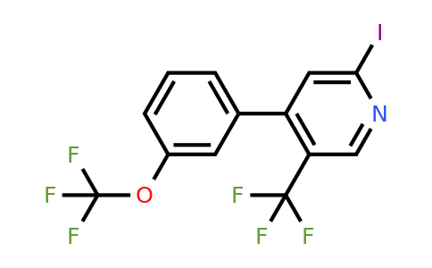 1261742-88-4 | 2-Iodo-4-(3-(trifluoromethoxy)phenyl)-5-(trifluoromethyl)pyridine