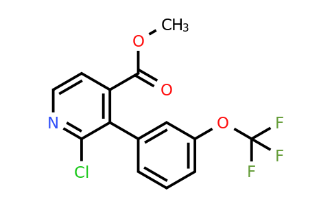 1261742-90-8 | Methyl 2-chloro-3-(3-(trifluoromethoxy)phenyl)isonicotinate