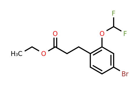 1261743-07-0 | Ethyl 3-(4'-bromo-2'-(difluoromethoxy)phenyl)propionate