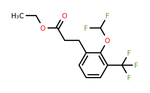 1261743-76-3 | Ethyl 3-(2'-(difluoromethoxy)-3'-(trifluoromethyl)phenyl)propionate
